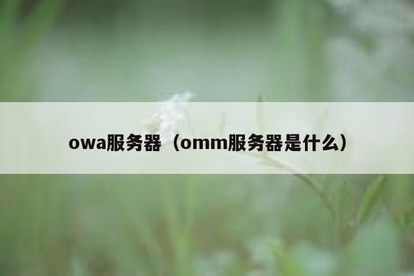 owa服务器（omm服务器是什么） 第1张