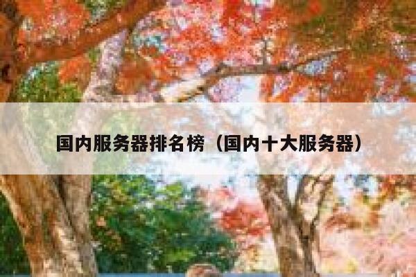 国内服务器排名榜（国内十大服务器） 第1张