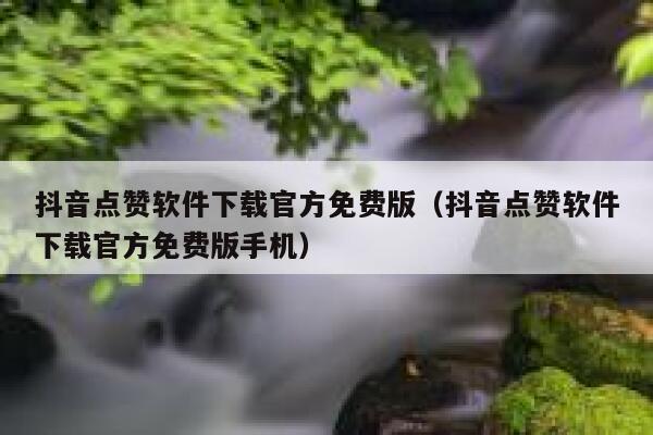 抖音点赞软件下载官方免费版（抖音点赞软件下载官方免费版手机） 第1张