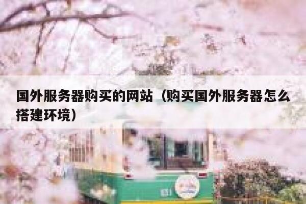 国外服务器购买的网站（购买国外服务器怎么搭建环境） 第1张
