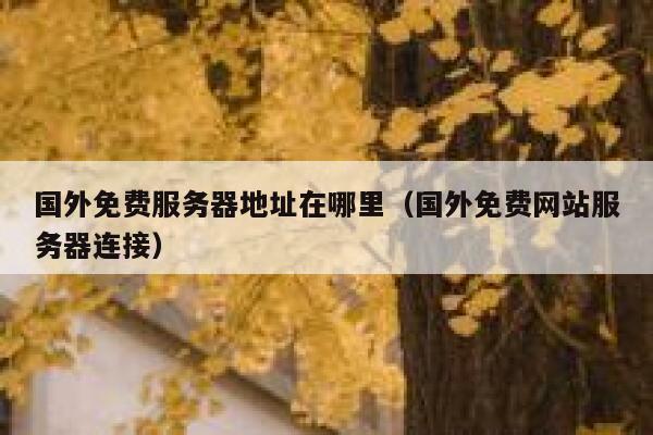 国外免费服务器地址在哪里（国外免费网站服务器连接） 第1张
