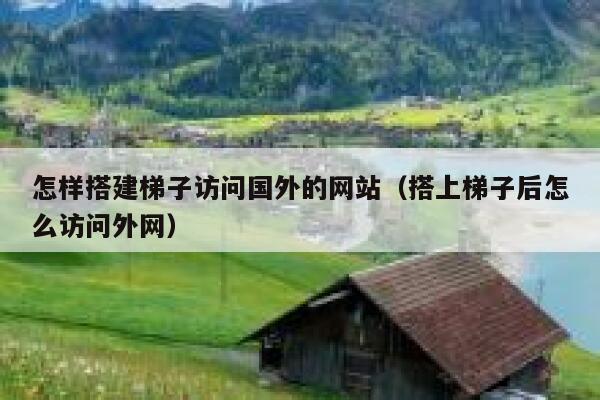 怎样搭建梯子访问国外的网站（搭上梯子后怎么访问外网） 第1张