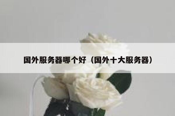 国外服务器哪个好（国外十大服务器） 第1张