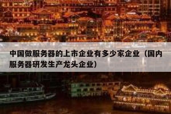 中国做服务器的上市企业有多少家企业（国内服务器研发生产龙头企业） 第1张