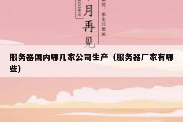 服务器国内哪几家公司生产（服务器厂家有哪些） 第1张