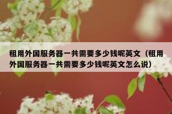 租用外国服务器一共需要多少钱呢英文（租用外国服务器一共需要多少钱呢英文怎么说） 第1张