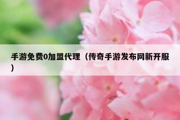 手游免费0加盟代理（传奇手游发布网新开服） 第1张