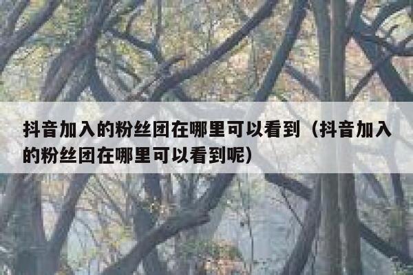 抖音加入的粉丝团在哪里可以看到（抖音加入的粉丝团在哪里可以看到呢） 第1张