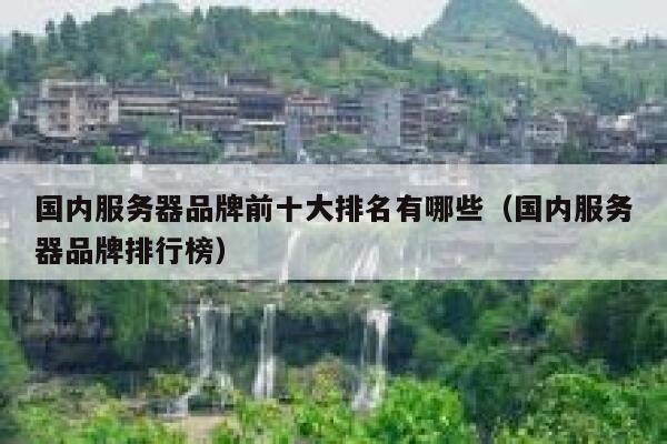 国内服务器品牌前十大排名有哪些（国内服务器品牌排行榜） 第1张