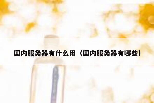 国内服务器有什么用（国内服务器有哪些） 第1张