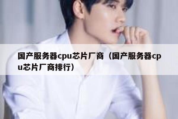 国产服务器cpu芯片厂商（国产服务器cpu芯片厂商排行） 第1张