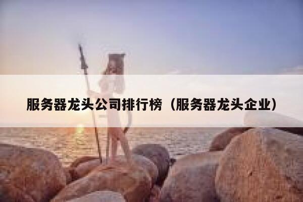 服务器龙头公司排行榜（服务器龙头企业） 第1张