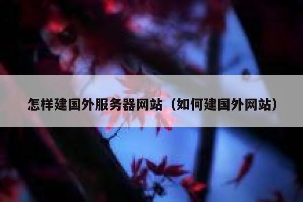 怎样建国外服务器网站（如何建国外网站） 第1张