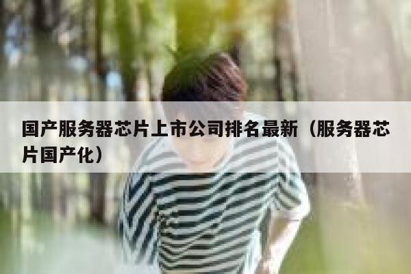 国产服务器芯片上市公司排名最新（服务器芯片国产化） 第1张