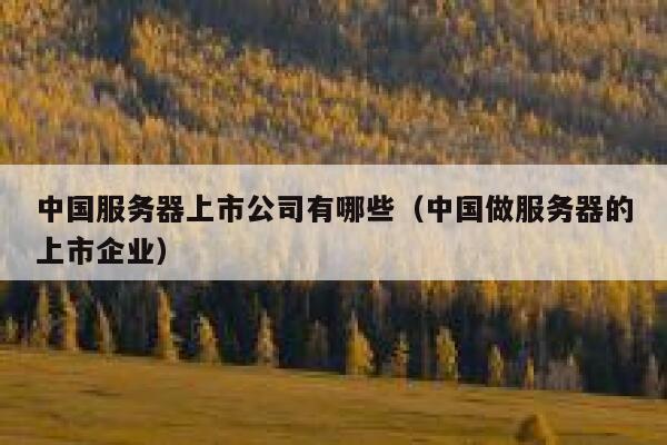 中国服务器上市公司有哪些（中国做服务器的上市企业） 第1张