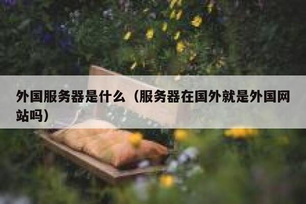 外国服务器是什么（服务器在国外就是外国网站吗） 第1张