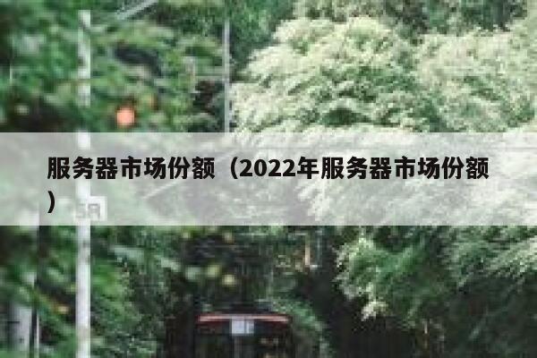 服务器市场份额（2022年服务器市场份额） 第1张