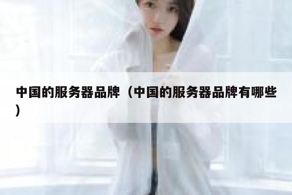 中国的服务器品牌（中国的服务器品牌有哪些） 第1张
