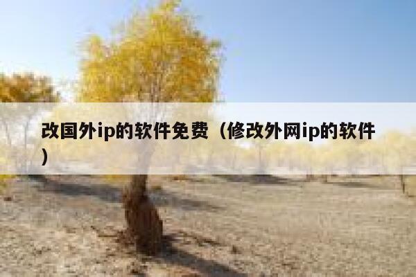 改国外ip的软件免费（修改外网ip的软件） 第1张