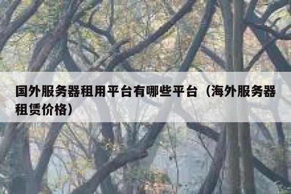 国外服务器租用平台有哪些平台（海外服务器租赁价格） 第1张