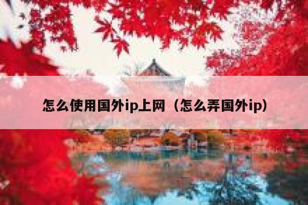 怎么使用国外ip上网（怎么弄国外ip） 第1张