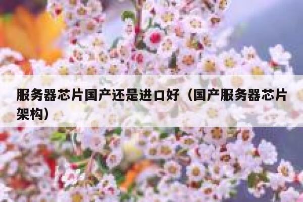 服务器芯片国产还是进口好（国产服务器芯片架构） 第1张