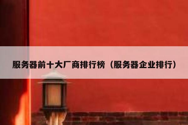 服务器前十大厂商排行榜（服务器企业排行） 第1张