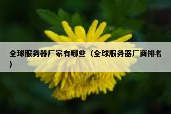 全球服务器厂家有哪些（全球服务器厂商排名） 第1张