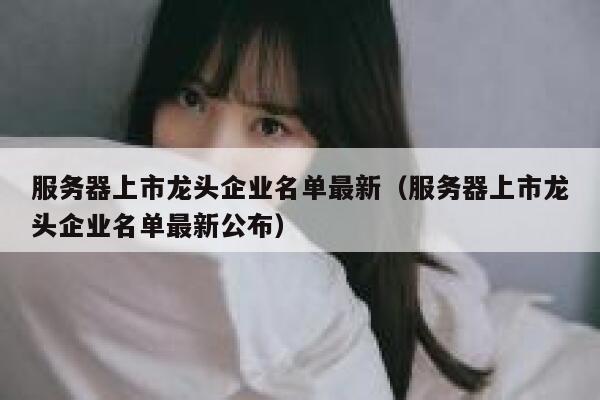 服务器上市龙头企业名单最新（服务器上市龙头企业名单最新公布） 第1张