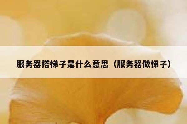 服务器搭梯子是什么意思（服务器做梯子） 第1张