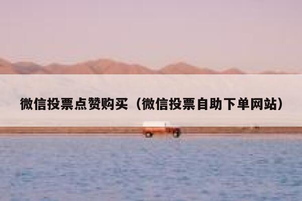 微信投票点赞购买（微信投票自助下单网站） 第1张