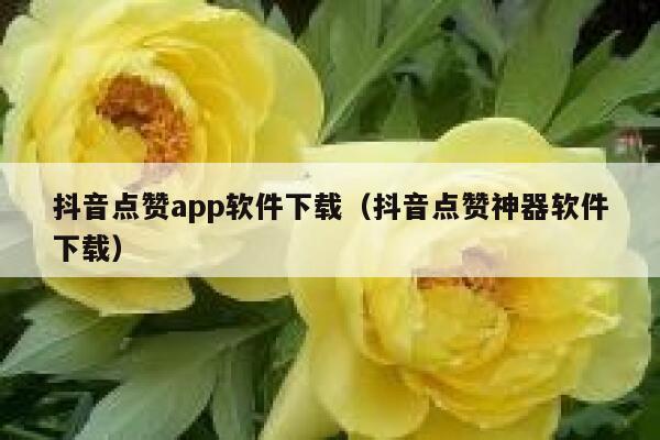 抖音点赞app软件下载（抖音点赞神器软件下载） 第1张