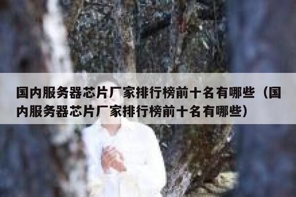 国内服务器芯片厂家排行榜前十名有哪些（国内服务器芯片厂家排行榜前十名有哪些） 第1张
