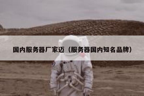 国内服务器厂家迈（服务器国内知名品牌） 第1张