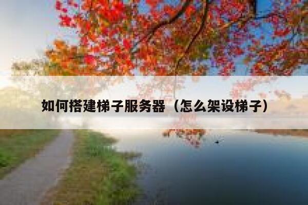 如何搭建梯子服务器（怎么架设梯子） 第1张
