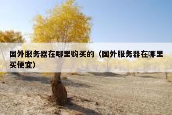 国外服务器在哪里购买的（国外服务器在哪里买便宜） 第1张