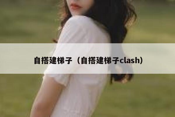 自搭建梯子（自搭建梯子clash） 第1张