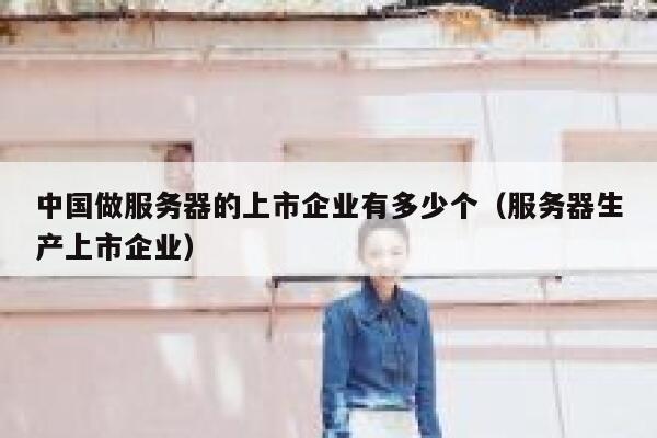中国做服务器的上市企业有多少个（服务器生产上市企业） 第1张