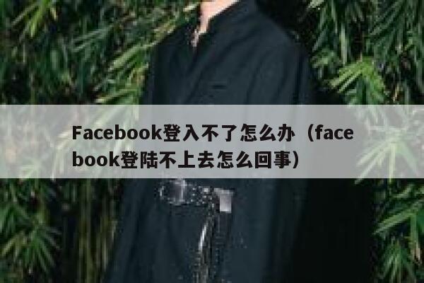 Facebook登入不了怎么办（facebook登陆不上去怎么回事） 第1张