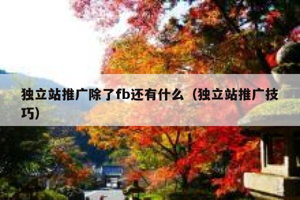 独立站推广除了fb还有什么（独立站推广技巧） 第1张