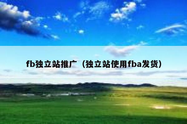 fb独立站推广（独立站使用fba发货） 第1张