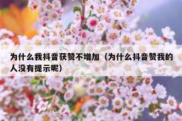 为什么我抖音获赞不增加（为什么抖音赞我的人没有提示呢） 第1张