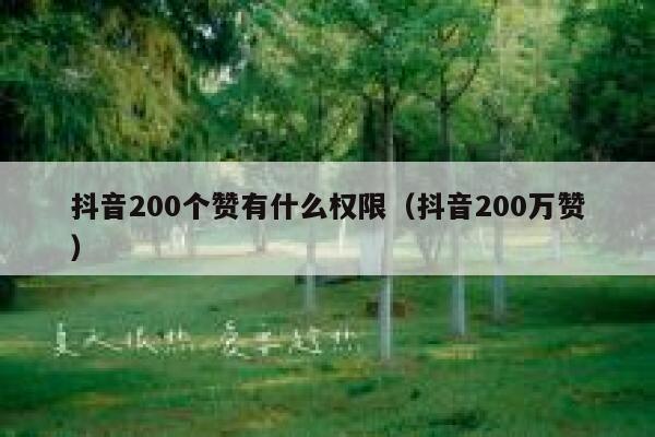 抖音200个赞有什么权限（抖音200万赞） 第1张