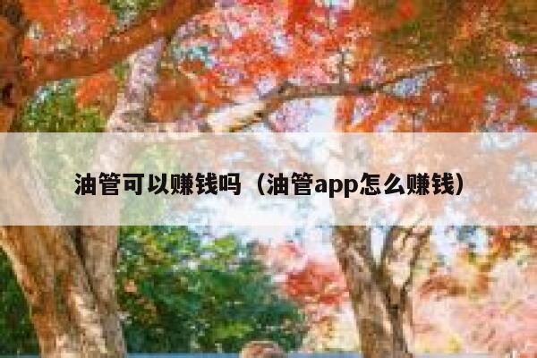 油管可以赚钱吗（油管app怎么赚钱） 第1张