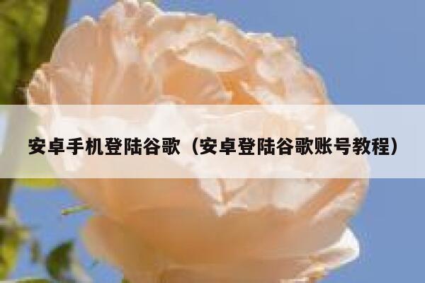 安卓手机登陆谷歌（安卓登陆谷歌账号教程） 第1张