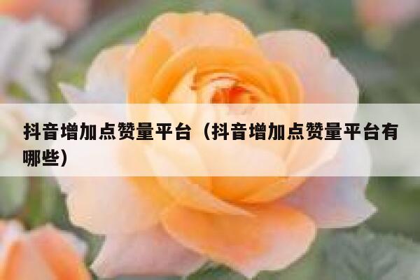 抖音增加点赞量平台（抖音增加点赞量平台有哪些） 第1张