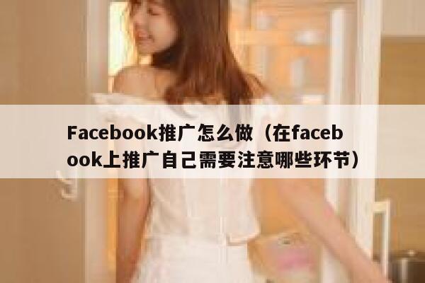 Facebook推广怎么做（在facebook上推广自己需要注意哪些环节） 第1张