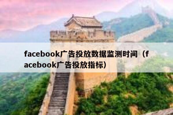 facebook广告投放数据监测时间（facebook广告投放指标） 第1张