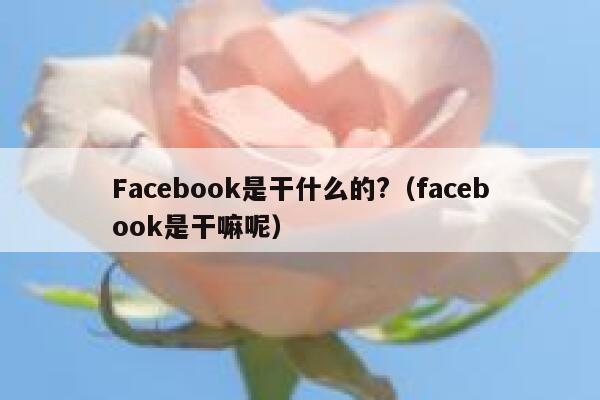 Facebook是干什么的?（facebook是干嘛呢） 第1张
