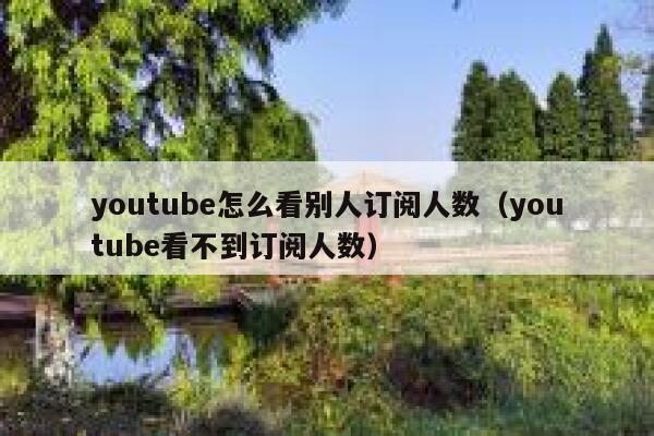 youtube怎么看别人订阅人数（youtube看不到订阅人数） 第1张